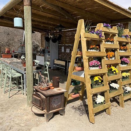 Carmey Avdat Farm Midreshet Ben Gurion Exterior foto